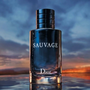DIOR 迪奧 CD 桀驁男士運動淡香氛 100ml X5