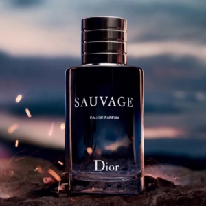DIOR 迪奧 曠野之心濃香精噴霧 100ML x5