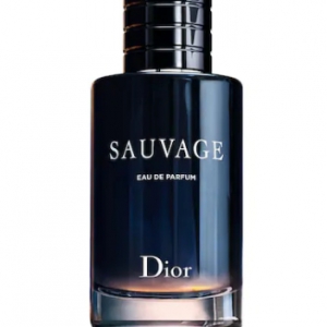 DIOR 迪奧 曠野之心淡香精噴霧 60ML x5