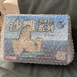 肌肉海豚FIGURE