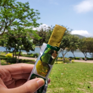 (現貨)日本抹茶味SOYJOY大豆棒